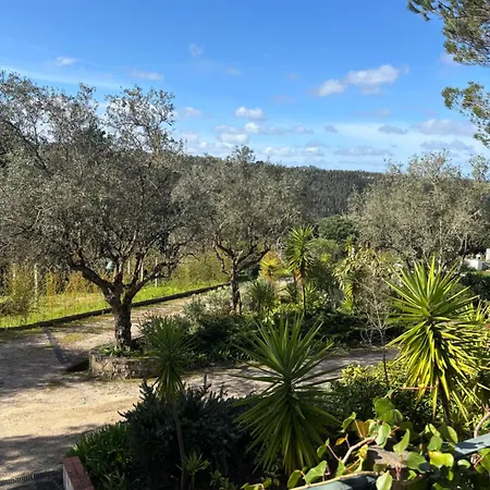 Holiday home Casa Da Feira - Obidos