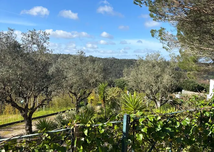 Casa Da Feira - Obidos *