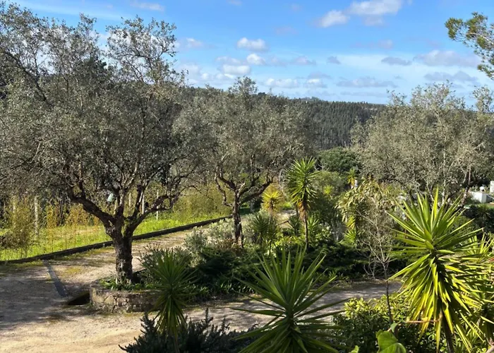 別荘 Casa Da Feira - Obidos